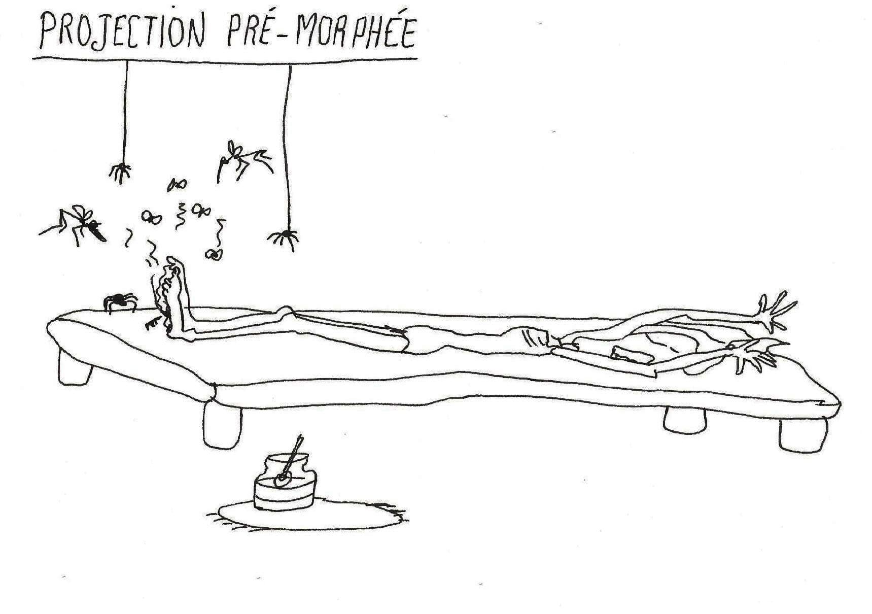 Hypocrampe insuline [Natacha]