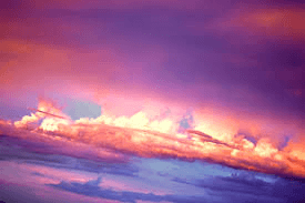 Mon combat pour la vie [Emilie]